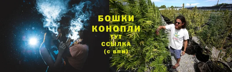 Бошки Шишки индика  Ахтубинск 